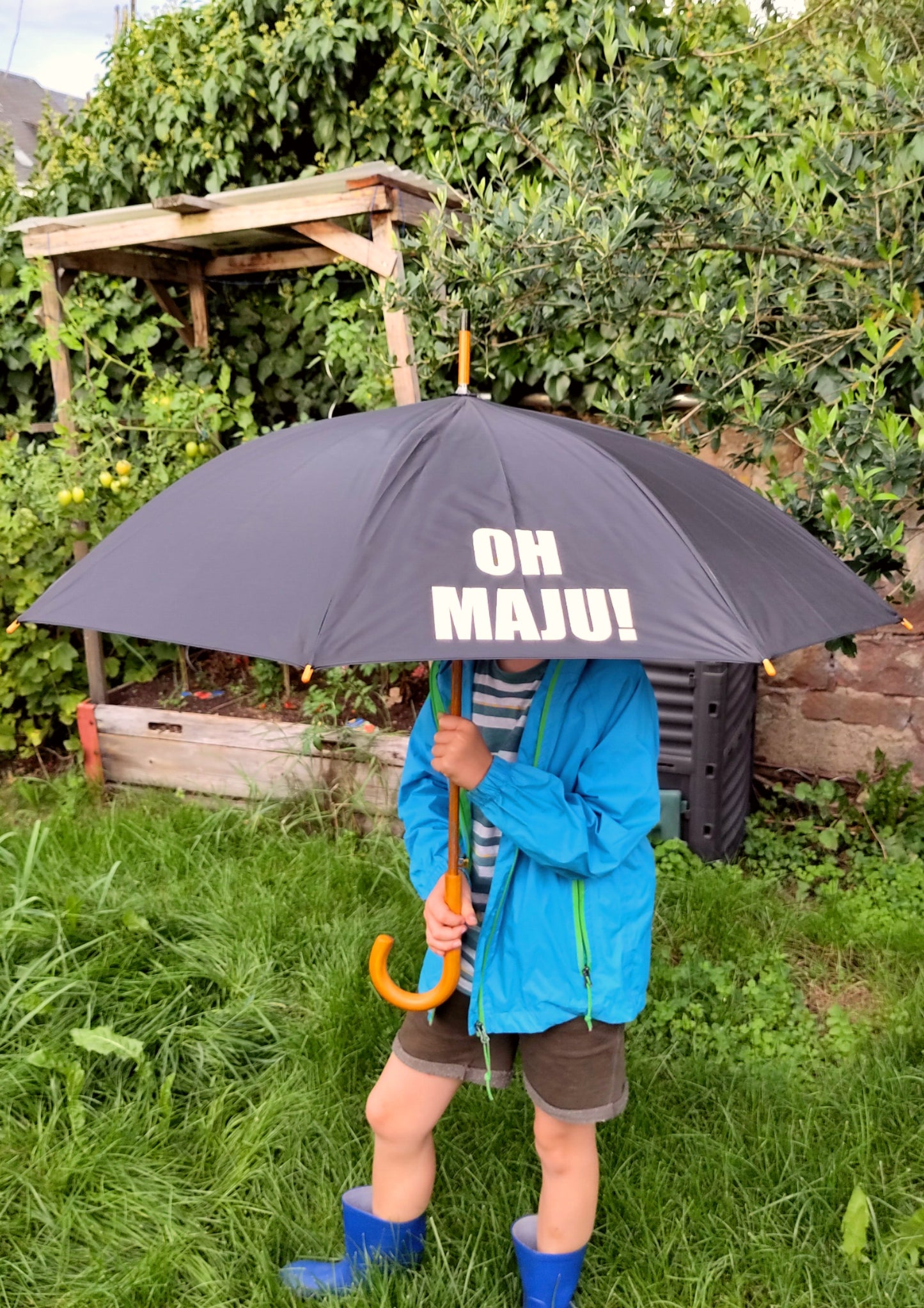 Regenschirm