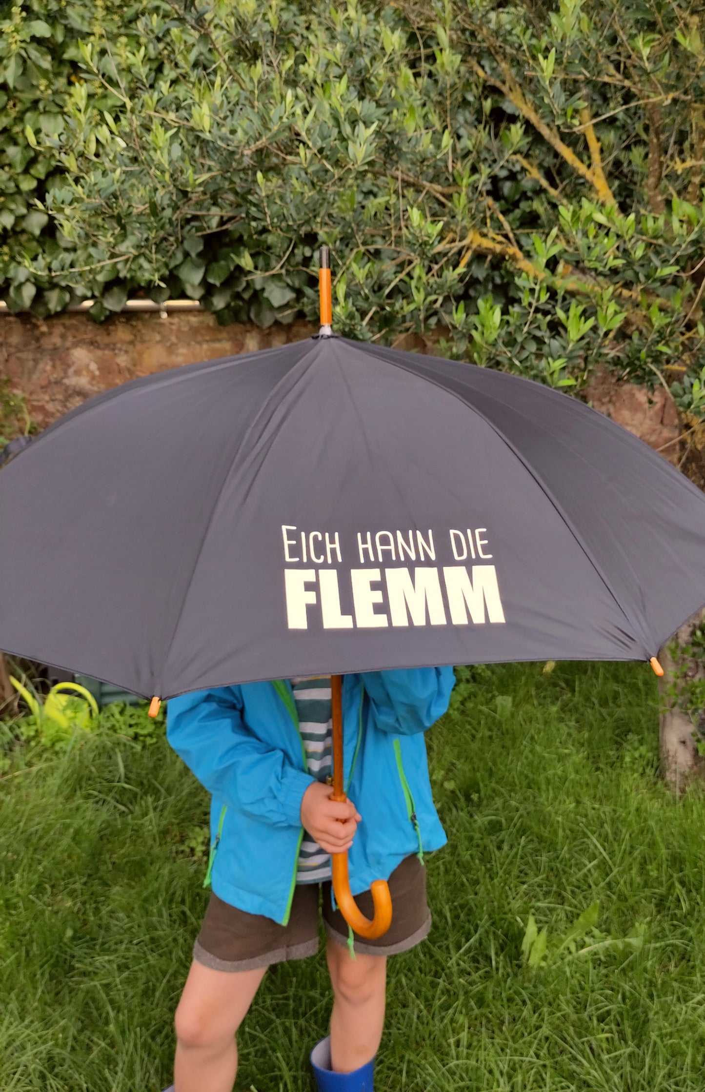 Regenschirm