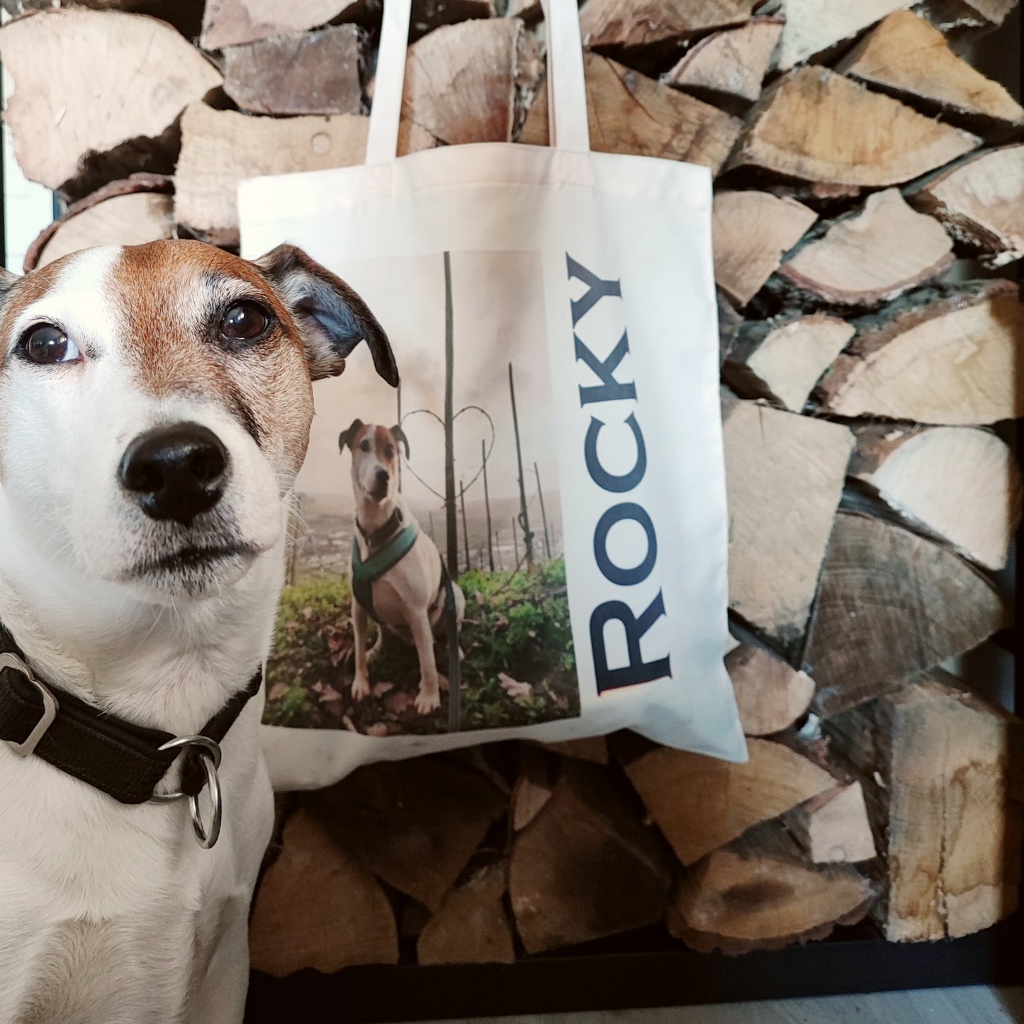 Hunde-Tasche mit Foto und Namen