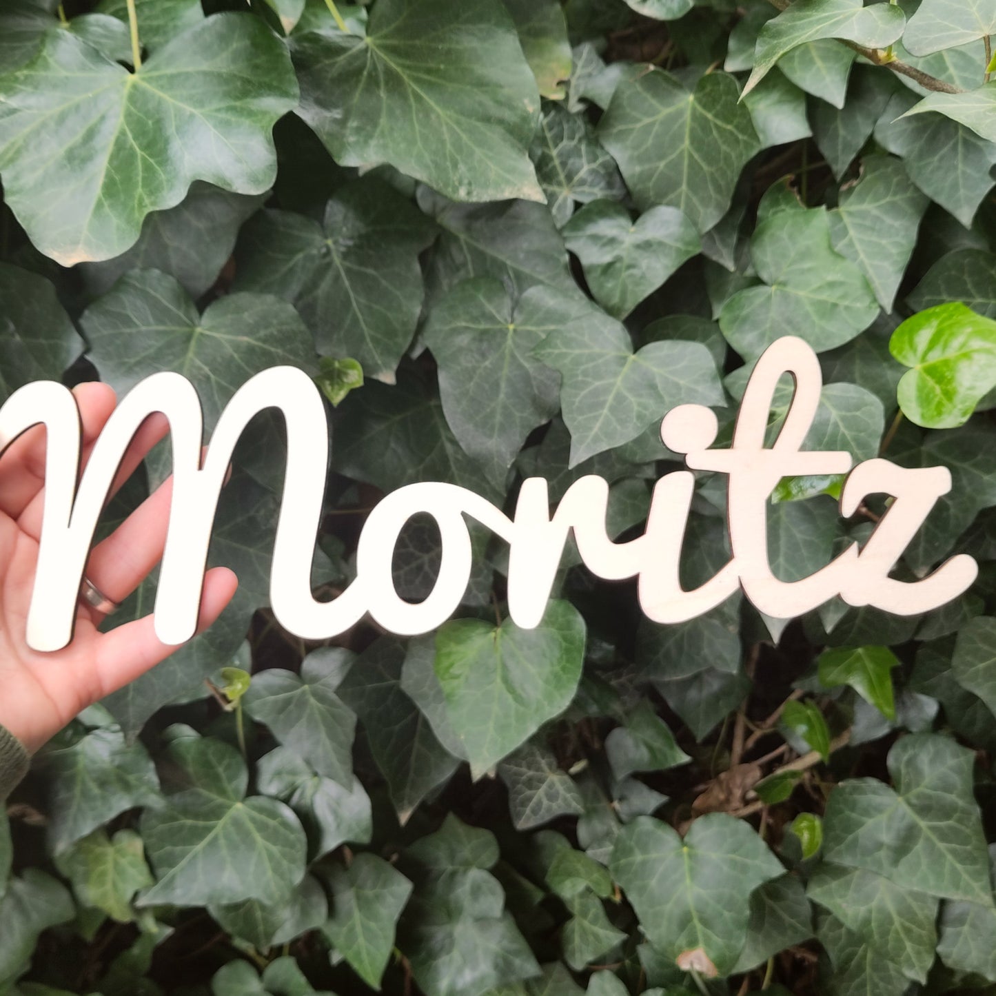 Namensschild / Türschild Holz