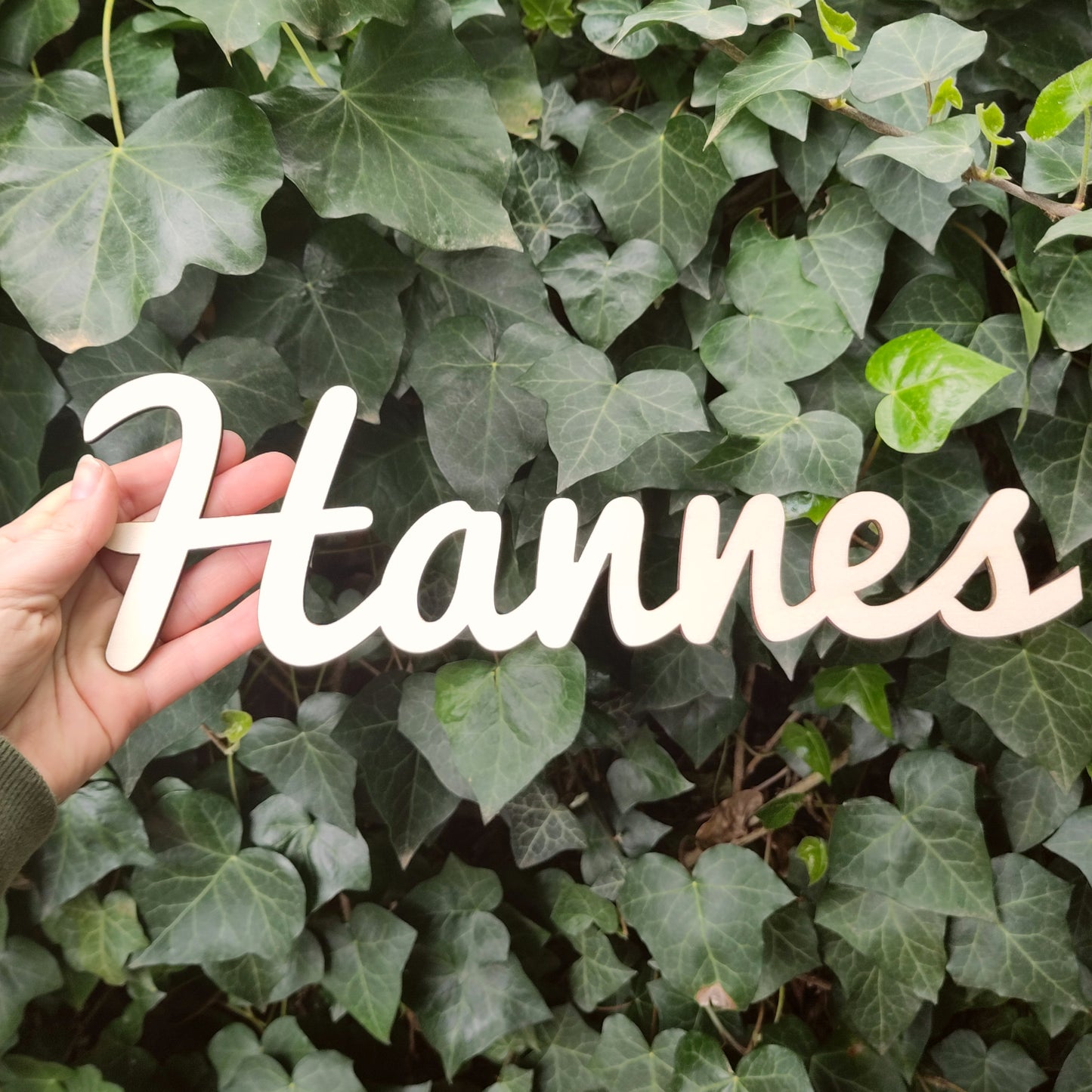 Namensschild / Türschild Holz