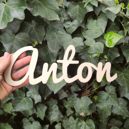 Namensschild / Türschild Holz